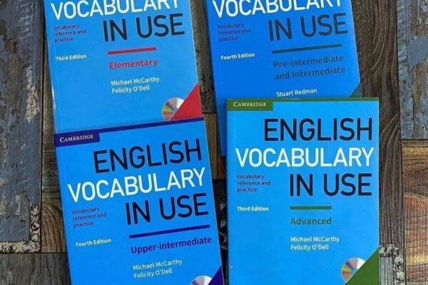 English Vocabulary in Use